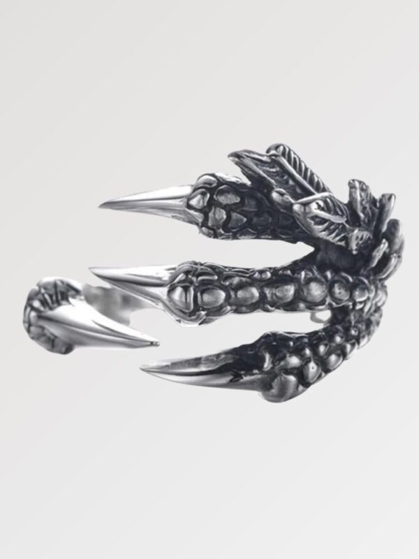 anillo dragon claw hyrul