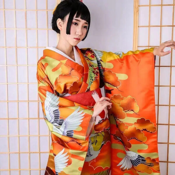 kimono japones fushiki 2