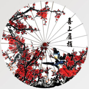 paraguas japones escritura kanji