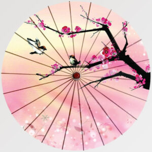 paraguas japones sakura fleuri